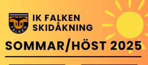 Läs mer om artikeln 